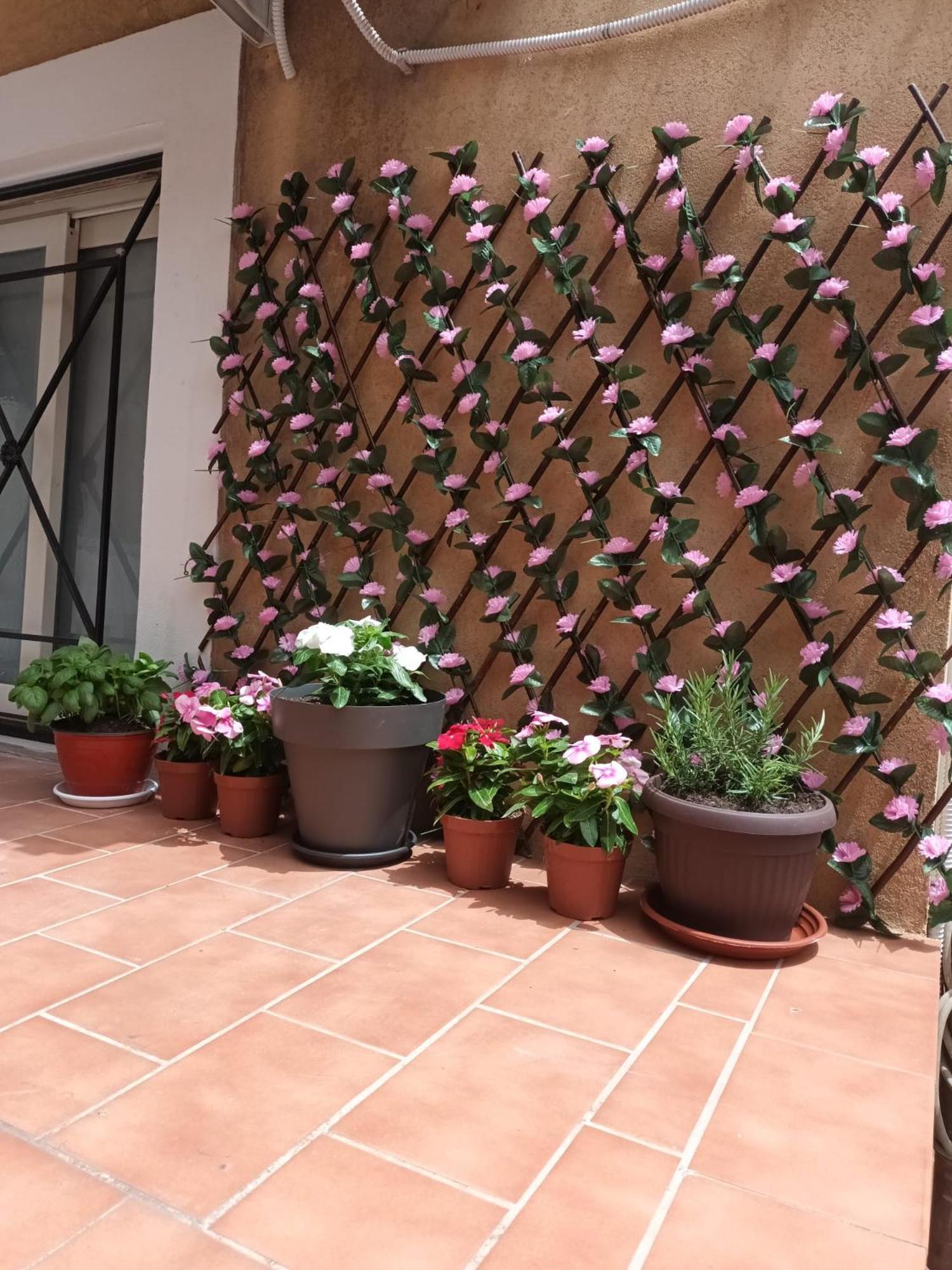 Le Case Del Cortile CTA Exterior foto